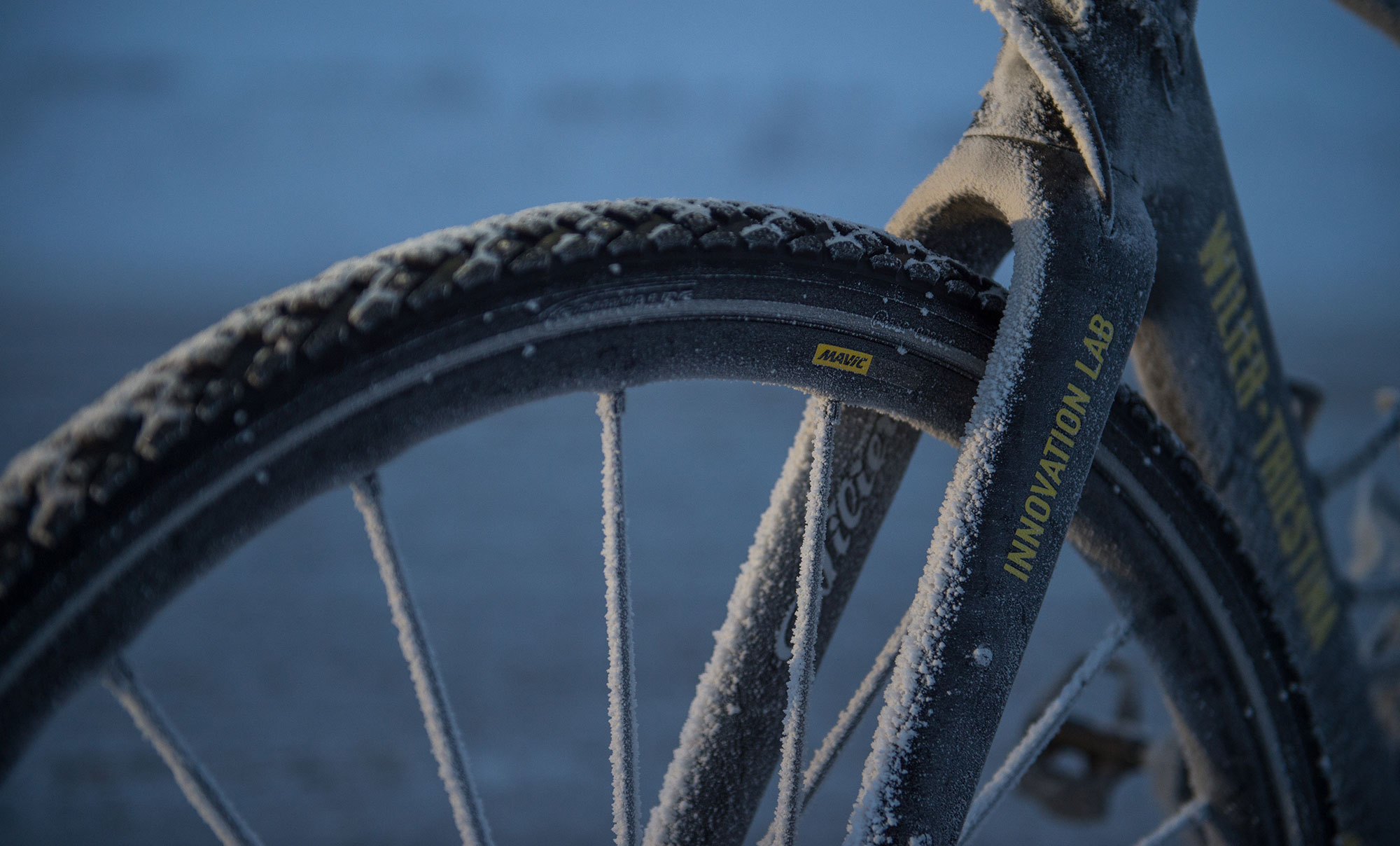 rule 7 tyres